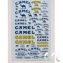 Planche décalque: Camel