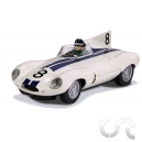 Jaguar Type D N°8